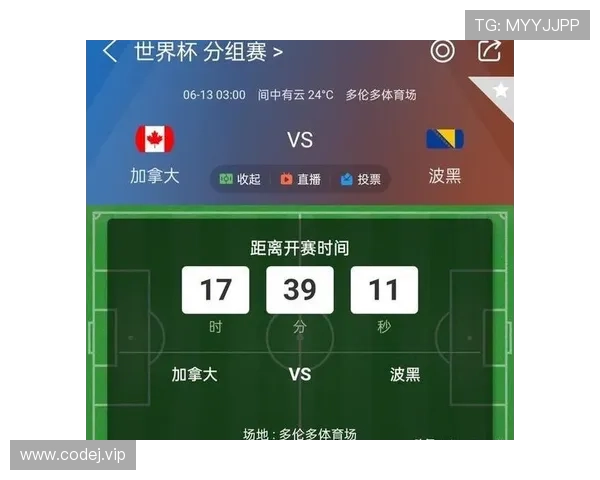 世界杯B组波黑表现回顾：一胜一平一负拿到4分